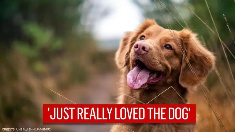 Tennessee man leaves $5 million for his 8-year-old pet dog in his will Tennessee