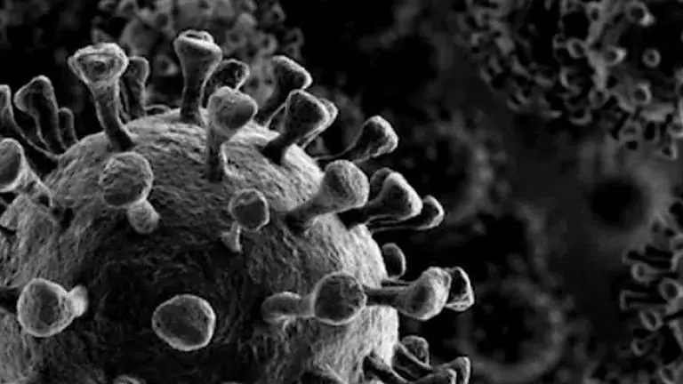 Spike in COVID-19 cases in Singapore due to extensive testing of foreign workers: Health Ministry