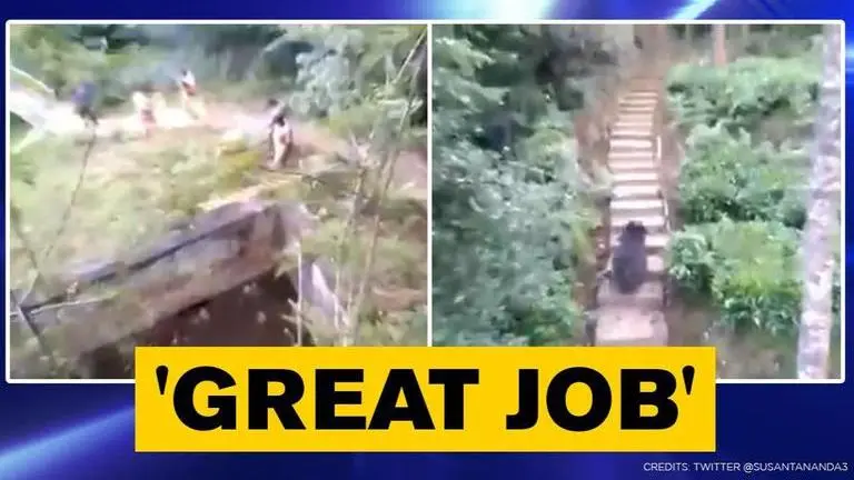 Video: Bear rescued by Nilgiris North Range staff, netizens hail 'saviors' | WATCH bear
