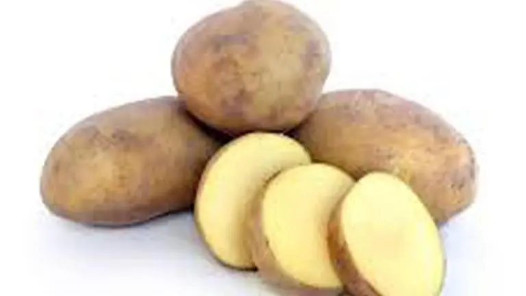 Potato puree as good as carb gels in boosting performance: Study potato