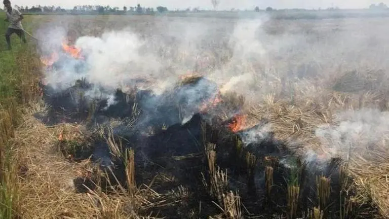 Centre to come out with permanent solution to stubble burning: MoS Agri Centre