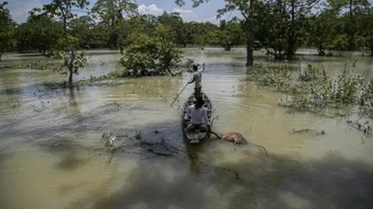 Heavy rains trigger deadly floods in Bangladesh