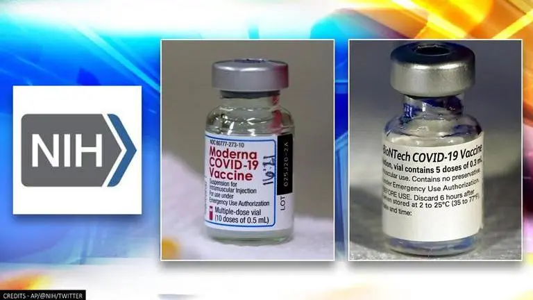 COVID-19: US begins study to determine allergic reaction risk in Moderna, Pfizer vaccines COVID-19