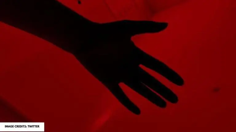 How to do the silhouette challenge and use filter for the old and the new version? how to do the silhouette challenge