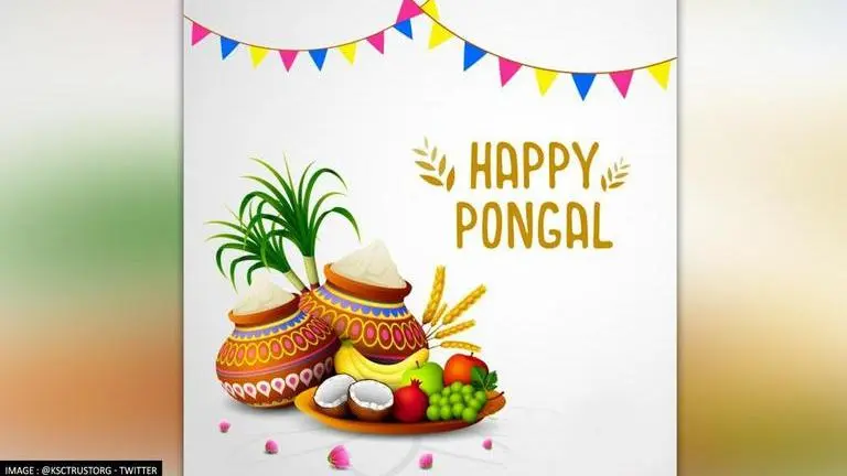 Happy Pongal 2022: Wishes, messages, quotes, images, Facebook & Whatsapp status pongal
