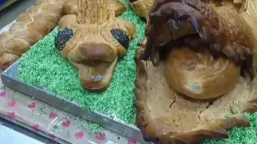 Tamil Nadu bakery’s unique plan to entice customers, makes large Crocodile-shaped Christmas Cakes Christmas cakes