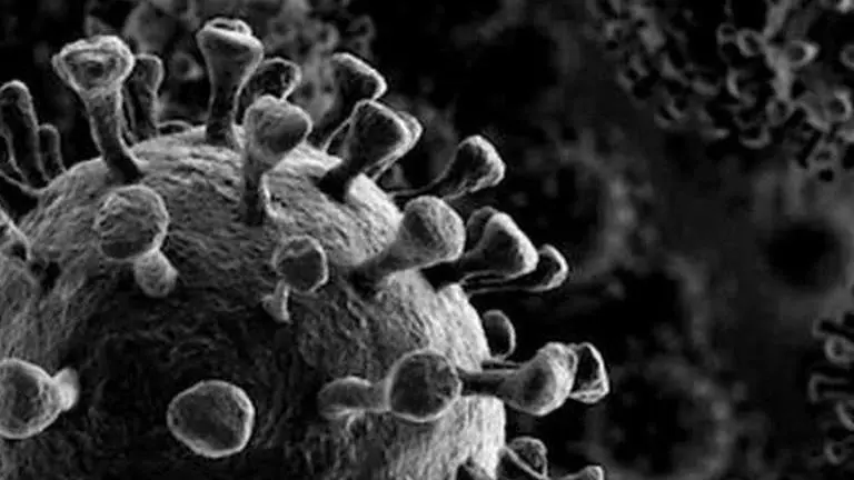 2,656 new coronavirus cases found in Pune district