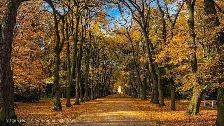 Beat the Coronavirus lockdown blues and do a virtual tour of the picturesque city Prague coronavirus lockdown