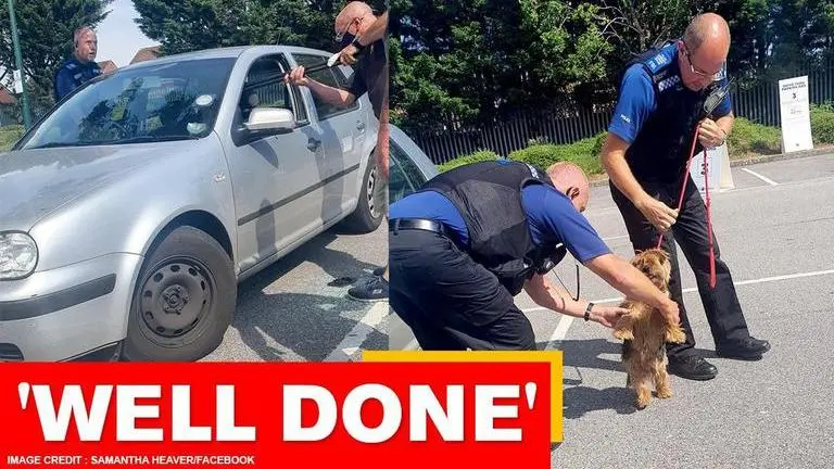UK man smashes window to save dog from extreme heat in locked car; watch video UK