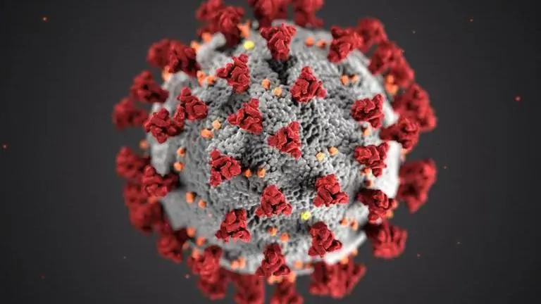 Study: Coronavirus may have mutated, potentially evolving study