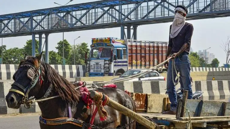 Four arrested in Mumbai for racing in horse carriages