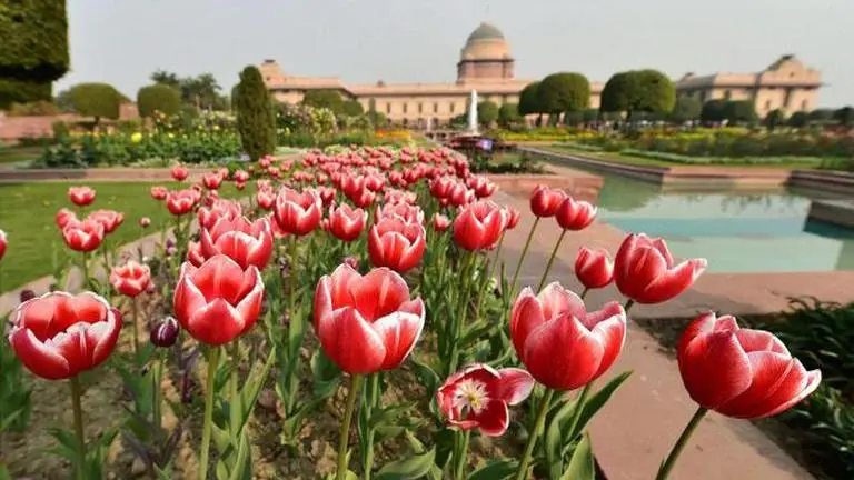 Mughal Garden to open doors to public from Feb 5 as fresh flowers bloom