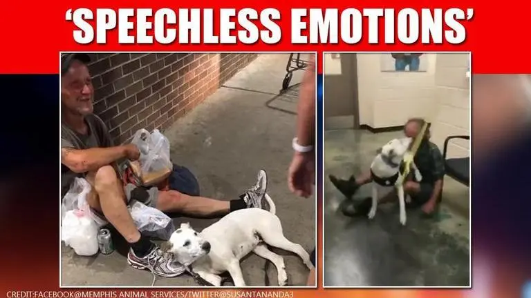 Homeless man reunites with his dog in a heartwarming video; netizens in awe Homeless man