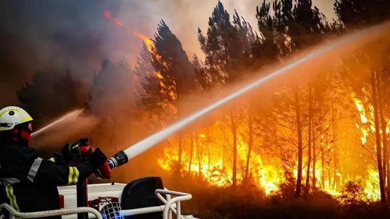 Europe's wildfires in 2022 have nearly quadrupled the 15-year average: Report Europe