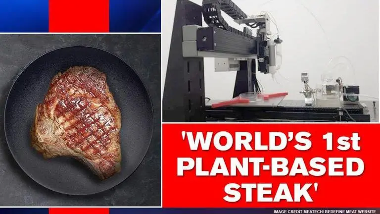 Israel start-up creates world’s first plant-based steak with 3D printing Israel
