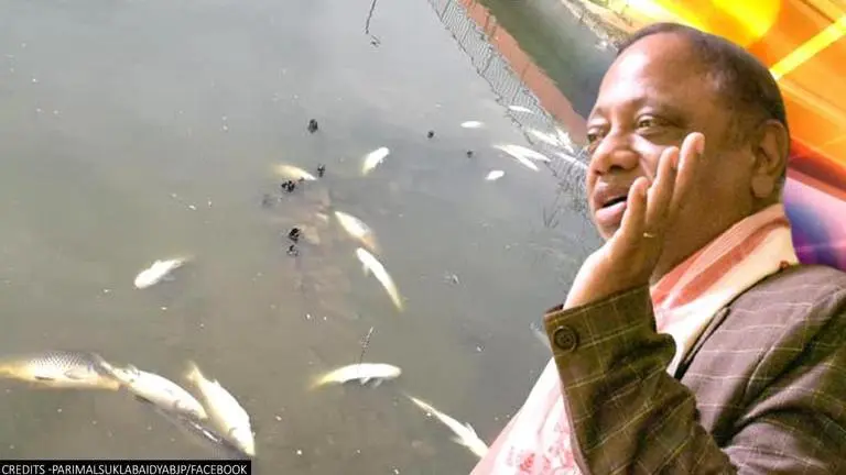Assam: Hundreds of fish found dead in Guwahati pond, hints at environmental degradation Fish found dead in Guwahati