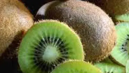 Description of the pic