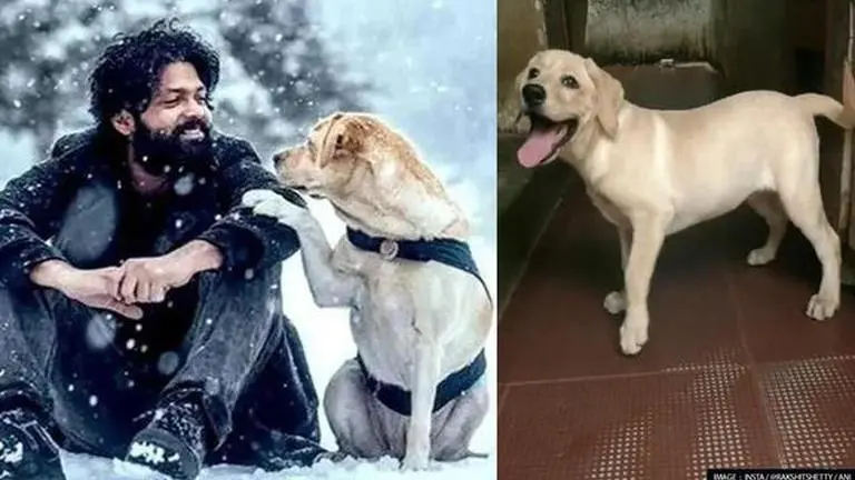 'Charlie 777': Inspired by Rakshit Shetty film, Mangaluru police names their dog 'Charlie' 777 Charlie
