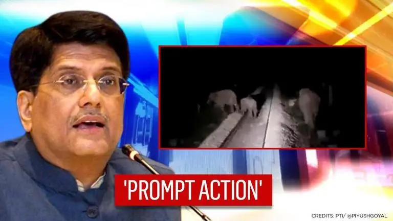 Train crew, loco pilot save 3 elephants crossing track; Piyush Goyal says 'extraordinary' Train Crew