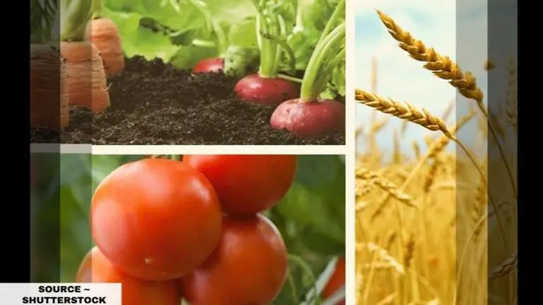 meri fasal mera byora