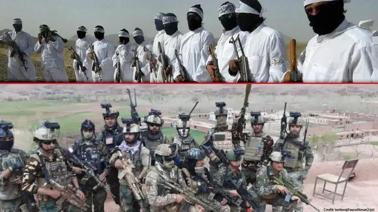 68 Taliban terrorists killed and 74 injured in operations conducted by Afghanistan forces (Image Credits: FawadAman/Twitter/PTI)