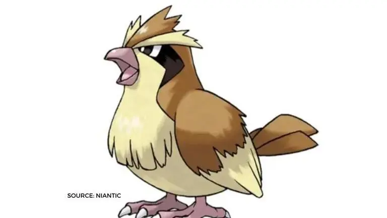 Pokemon Go: How to catch Pidgey? A detailed, step-by-step guide How to catch Pidgey in Pokemon Go