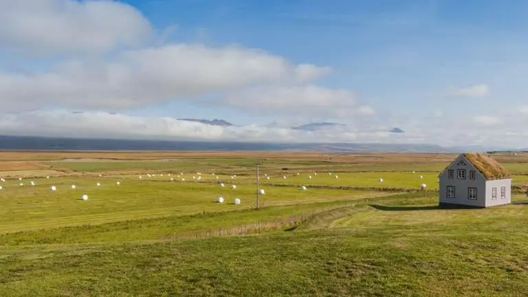 Hotels with Icelandic Cultural Experiences: Immerse in Local Traditions Iceland Hotels