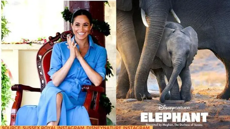 Meghan Markle to mark her Disney debut with "brutal" Disneynature documentary 'Elephant' Meghan Markle