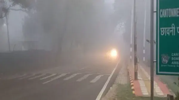 Dense fog seen in Ambala, visuals shot at 6:30 am on Saturday.