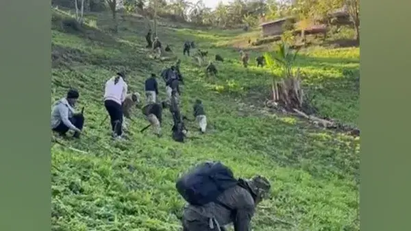 Poppy plantation being destroyed in Manipur
