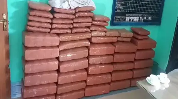 Tripura Police seize ganja worth Rs 20 lakh.
