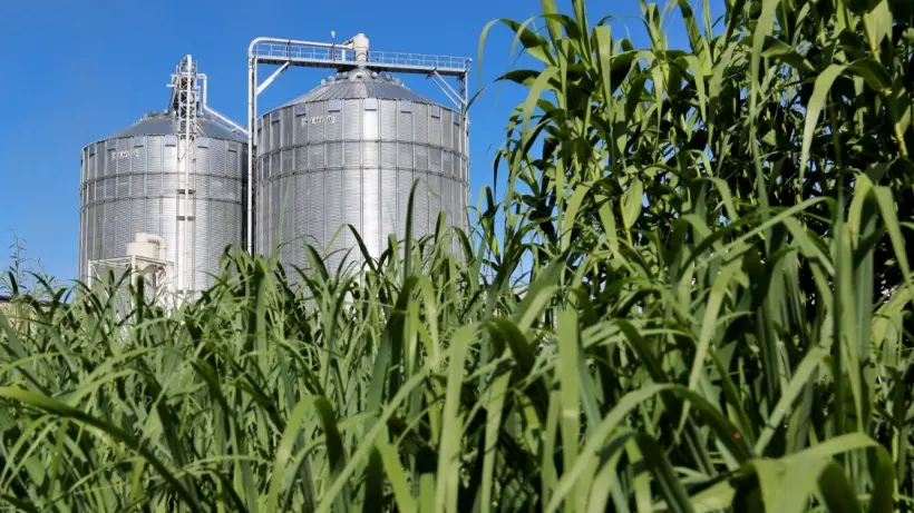 EKI Energy Services sets up biomass plant in Maharashtra