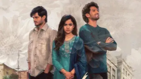 Description of the pic