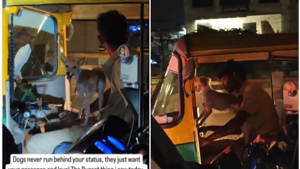 Paw Control: Bengaluru Auto Driver Goes Viral With His Furry Co-Pilot Friend, Internet Reacts Auto Driver Goes Viral With His Furry Co-Pilot Friend