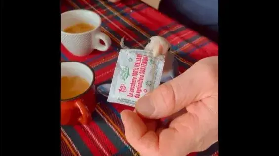 Cute Bird Viral Video