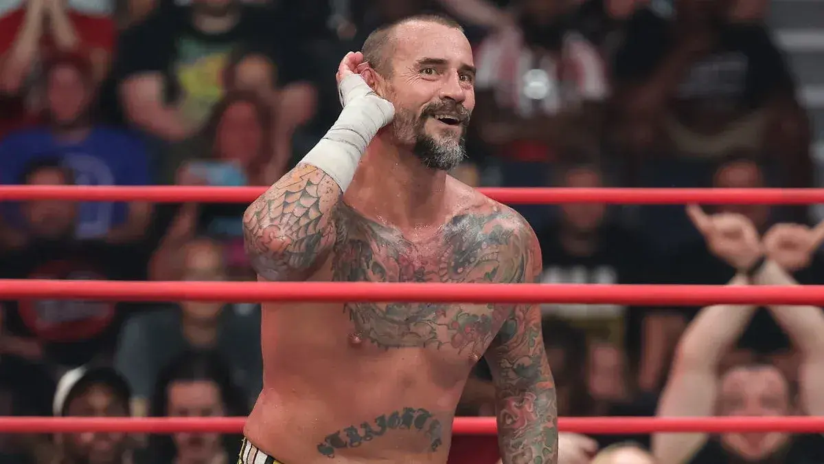 CM Punk in action