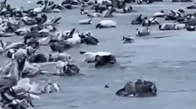 This super cold snap is part of a bigger trend of weird weather happening in China.