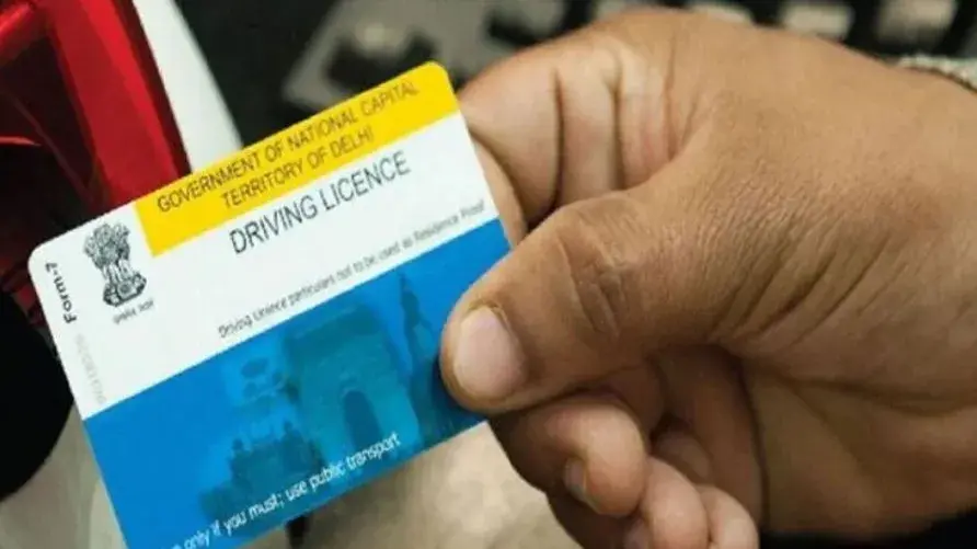 Step-by-Step Guide : Replacing A Lost or Stolen Driver's License Driving License