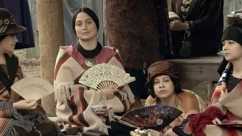 Description of the pic