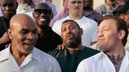 Description of the pic