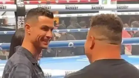 Description of the pic