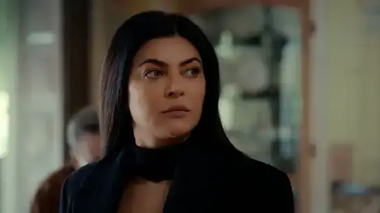 Description of the pic