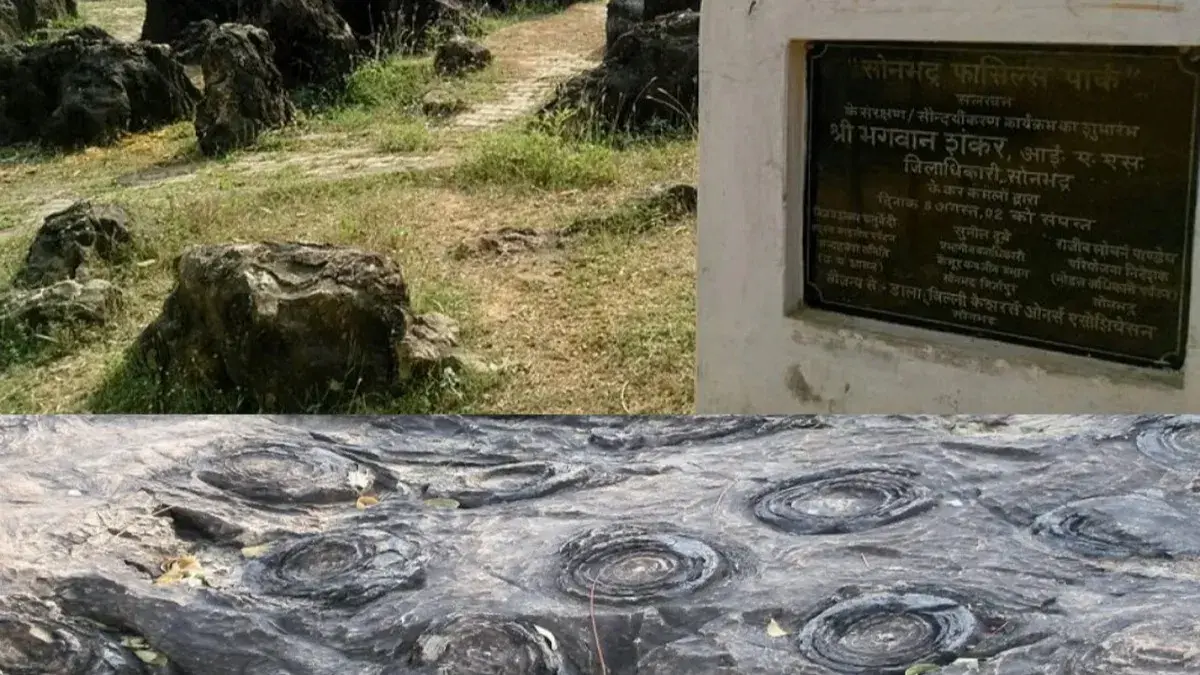 Sonbhadra fossil park