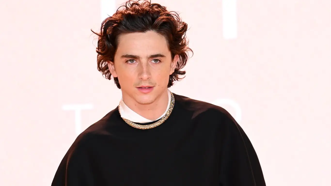 Description of the pic