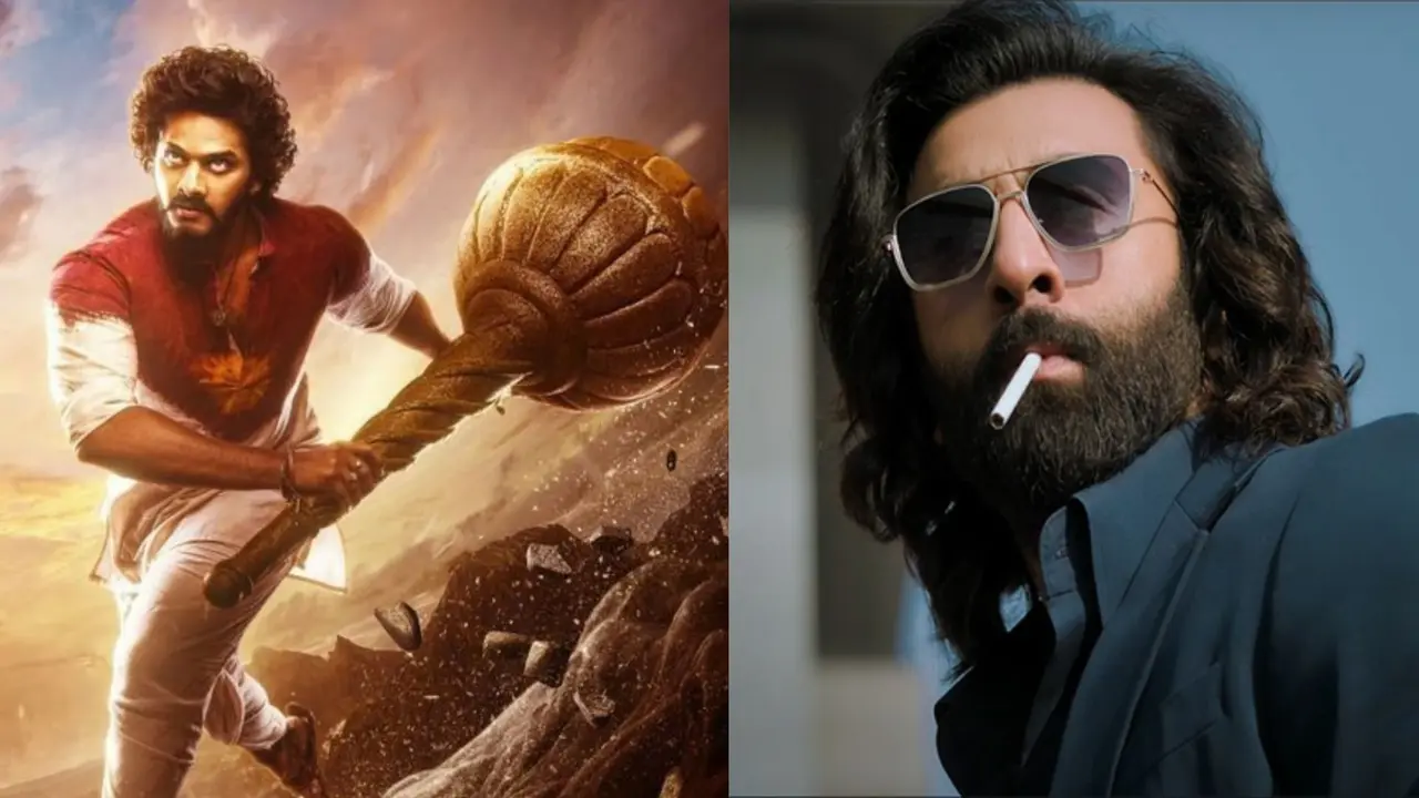 HanuMan Surpasses Lifetime Collection Of Sandeep Reddy Vanga's Animal In Telugu Within 1 Week HanuMan Vs Animal