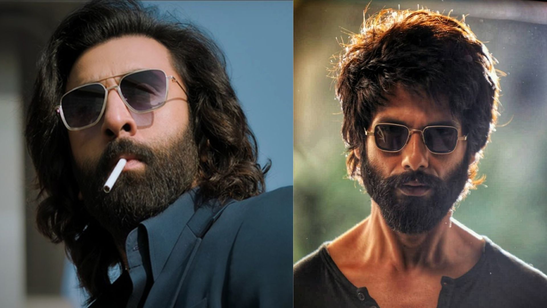 Will Kabir Singh And Animal Park Have A Crossover? Shahid Kapoor Spills ...