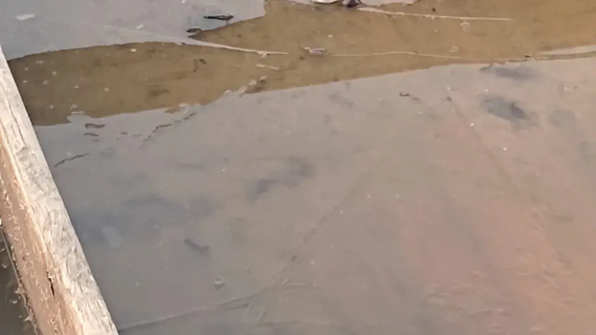 Wular Lake in Kashmir Transforms into a Picturesque Wonderland Amid Chilling Cold Waves