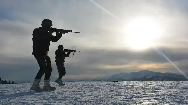 What was Operation Bison? The pivotal capture during the Indo-Pak War Indian Army (Snow)