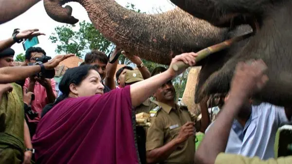 Heartwrenching Video of Cruelty Against Jayalalithaa's Elephant In Kerala Goes Viral, 2 Suspended Jayalalithaa's Krishna Brutally Tortured, Two Mahouts Suspended