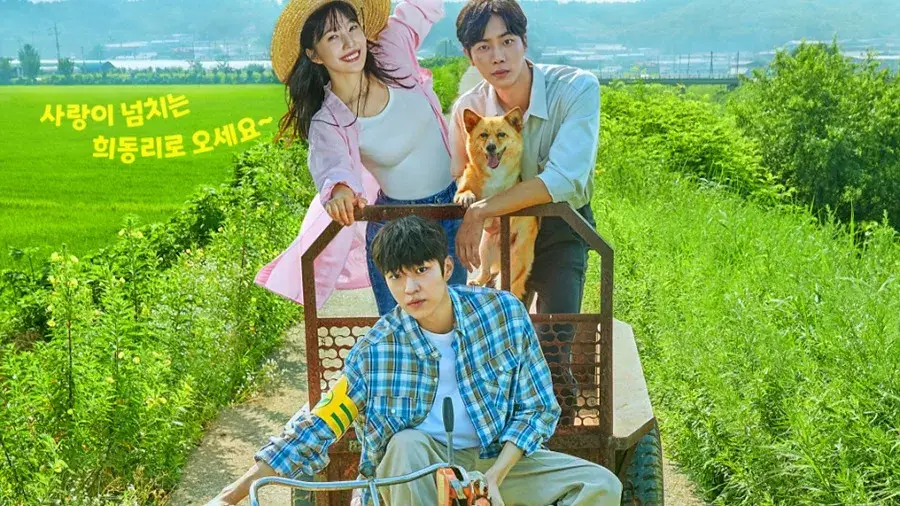 Description of the pic